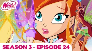 Winx Club  FULL EPISODE  The Wizards Attack  Season 4 Episode 13 [upl. by Buttaro160]