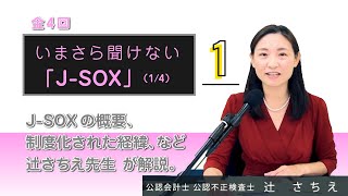 【試聴】いまさら聞けない「JSOX」 ～内部統制の本質と JSOX 実務～（全４回 1回目イントロ部分・冒頭368秒）講師：公認会計士、公認不正検査士 辻 さちえ 先生 [upl. by Tull]