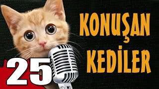 Konuşan Kediler 25  En Komik Kedi Videoları [upl. by Itnaihc]