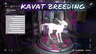 วิธีหาKAVAT GENETIC CODE Warframe [upl. by Olga]