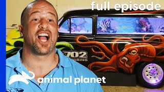 FULL EPISODE Brett Takes a Dive S1 E1  Tanked [upl. by Sosanna]