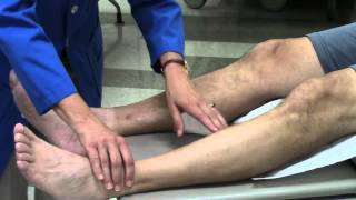 Peripheral vascular system assessment [upl. by Issie509]