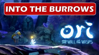 Into the Burrows  Side Quest  Midnight Burrows  Ori and the will of the wisps [upl. by Elletsirk]