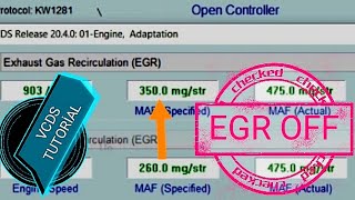 VCDS  EGR Delete [upl. by Diana]