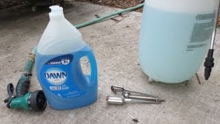 IMPROVED Soapy Water Insecticide Spray Dawn Dish Soap [upl. by Aihsekram]