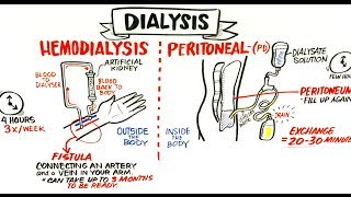 Renal  Filtration Reabsorption and Secretion Overview [upl. by Annahsit]