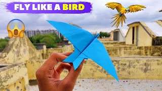 Flying Bird Paper Plane  Origami Bird Paper Plane  Mad Times [upl. by Thain]