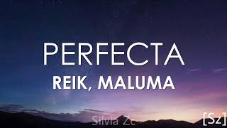 Reik Maluma  Perfecta Letra [upl. by Ettenil714]