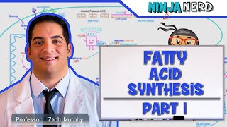 Metabolism  Fatty Acid Synthesis Part 1 [upl. by O'Reilly717]