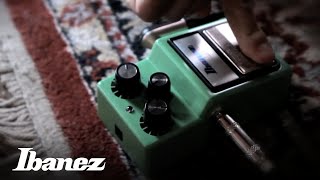 Ibanez TS9 Tube Screamer [upl. by Mayor]