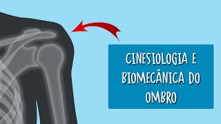 Cinesiologia e biomecânica do ombro [upl. by Ynohtnakram]