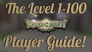 Wynncraft 114 Level 1100 Leveling Guide Vintage PSA Edition [upl. by Debbee]