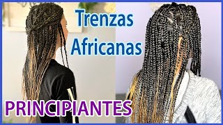 TRENZAS AFRICANAS CON EXTENSIONES  Principiantes [upl. by Ecinue]