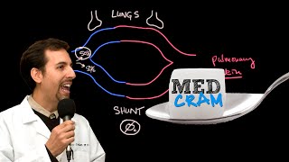 Shunting Explained Clearly Pulmonary Shunt [upl. by Hedges]