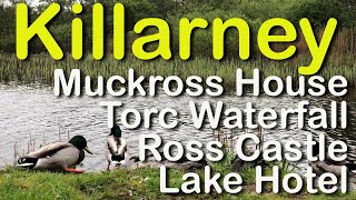 Killarney Ireland excursions to Ross Castle Muckross House Torc Falls Lake Hotel [upl. by Ycnaffit]