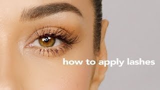 How To Apply Individual Lashes  Easy Tutorial for Beginners  Eman [upl. by Eceinahs]