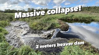 Epic 2meters Beaver Dam COLLAPSE [upl. by Edison]