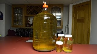 Making White Wine from Juice 2016 Pinot Grigio [upl. by Euqirrne]