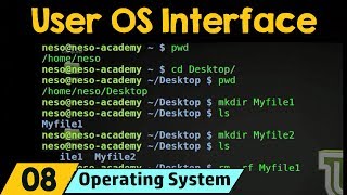 User Operating System Interface [upl. by Ehcrop317]