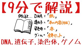 生物基礎 第2章 DNA、遺伝子、染色体、ゲノム [upl. by Haneen535]