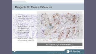 Immunohistochemistry IHC Tips and Techniques [upl. by Veronica770]