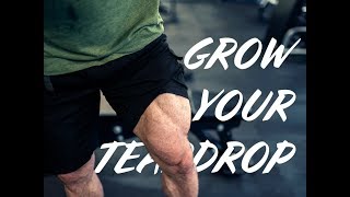 How To Train Your Inner Quads  Vastus Medialis quotThe Teardropquot [upl. by Ruon]