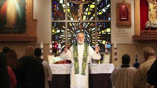 Sacraments 101 Holy Orders what ordination means [upl. by Alicsirp]