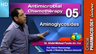 Antimicrobial Chemotherapy Ar Lecture 05 Aminoglycosides [upl. by Eveleen24]