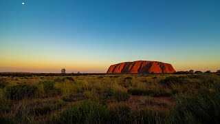 12hr Australian Outback Night Sounds BLACK SCREEN Australia Nature Sounds  Sleep Study Relaxation [upl. by Leynad823]