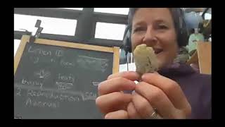 Lichen identification Workshop for beginners [upl. by Larisa]