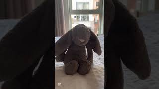 LARRY😈😈😈 jellycat funny rabbit bunny [upl. by Caton]