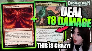 A NEW CRAZY COMBO HITS STANDARD🤣Nemesis Combo🔥MTG Arena [upl. by Minica770]