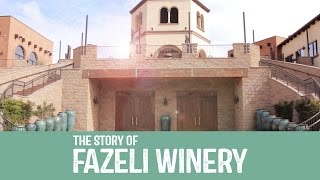 Fazeli Cellars Winery [upl. by Stuckey]