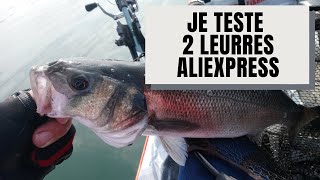 JE TESTE DEUX LEURRES AliExpress incroyables [upl. by Audrit736]