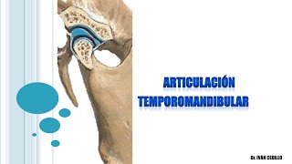 Articulación Temporomandibular [upl. by Ahsienor]