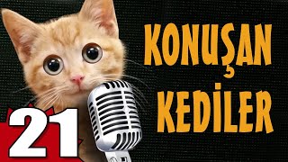 Konuşan Kediler 21  En Komik Kedi Videoları [upl. by Nodarse]