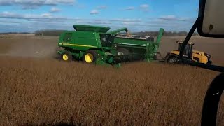 Harvesting Soybeans GOTIME [upl. by Inigo]