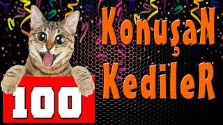 Konuşan Kediler 100  En Komik Kedi Videoları [upl. by Ploss202]