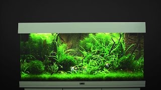 Aquarium einrichten JUWEL Rio 180  Tutorial [upl. by Barsky]