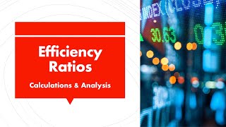 Efficiency Ratios  Calculation and Analysis [upl. by Matelda]