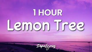 1 HOUR Lemon Tree  Fools Garden Lyrics 🎵 [upl. by Issy]