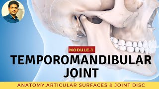 TEMPOROMANDIBULAR JOINT Anatomy amp Biomechanics [upl. by Rapsag]