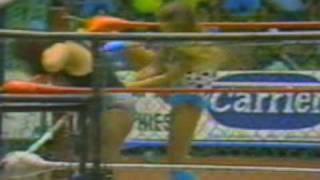 Wendi Richter vs Monster Ripper  Steel Cage Part 1 [upl. by Boucher]