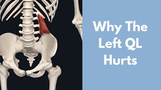 Why Does Your Left Quadratus Lumborum Hurt [upl. by Abie74]