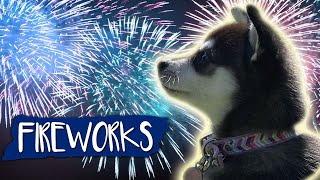 Fireworks Noise Desensitization For Dogs [upl. by Eelime18]