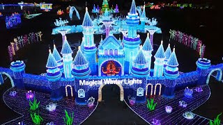 Magical Winter Lights Wins Heavyweight Trophy  The Great Christmas Light Fight [upl. by Aroc646]