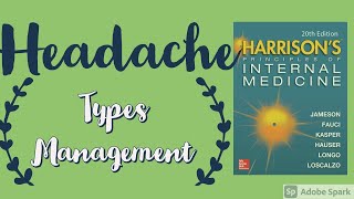 HEADACHE  Types  Causes  Approach  Management  Harrison [upl. by Anitnemelc]