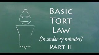 Understand Tort Law in 17 Minutes Part II [upl. by Benis]