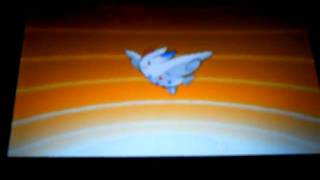 Pokemon Black and White  Togetic evolving into Togekiss [upl. by Hollington]