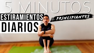 Rutina de ESTIRAMIENTOS para PRINCIPIANTES  5 Minutos al Día [upl. by Merriam]